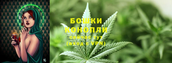 тгк Бронницы