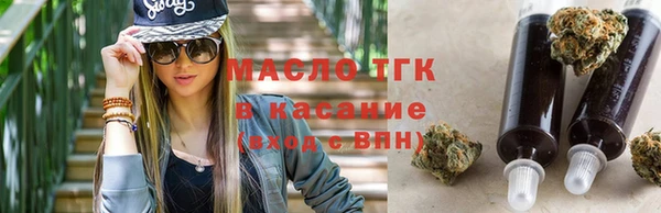 твердый Бородино