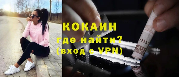 твердый Бородино