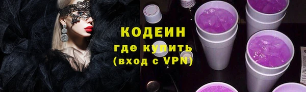 твердый Бородино