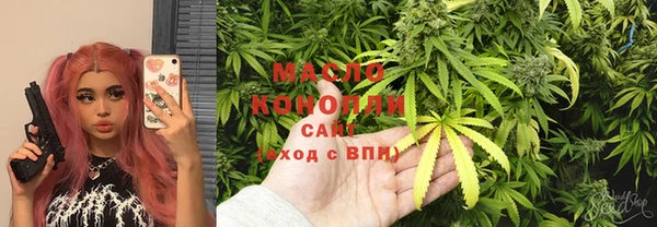твердый Бородино