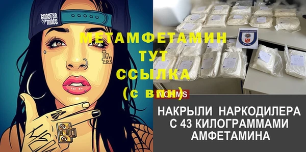 твердый Бородино