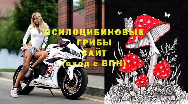 твердый Бородино